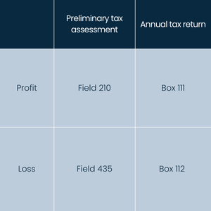 Table showing where profit and loss must be entered in the preliminary and annual tax assessments.
