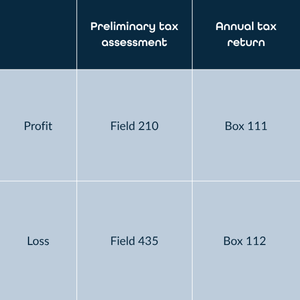Table showing profit and loss fields for the Danish preliminary tax assessment and annual tax return